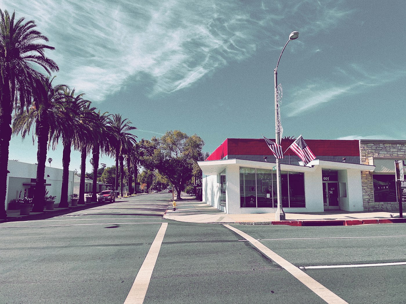 Palm-lined street in a small sunny town with low commercial buildings