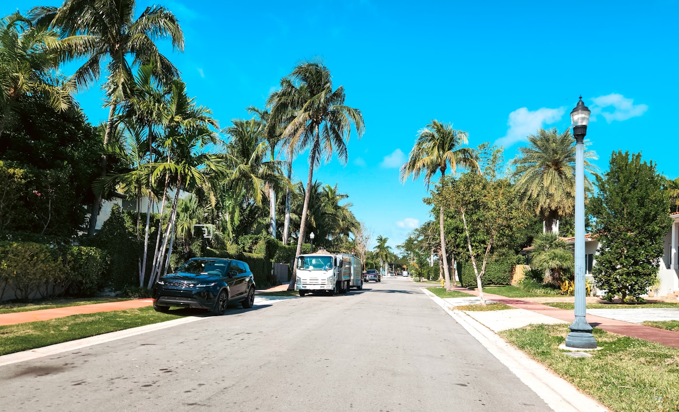 Quiet residential street lined with palm trees on a sunny day